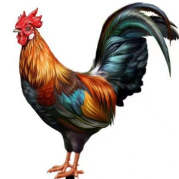 3D Rooster Acrylic Mirror Garden Decoration