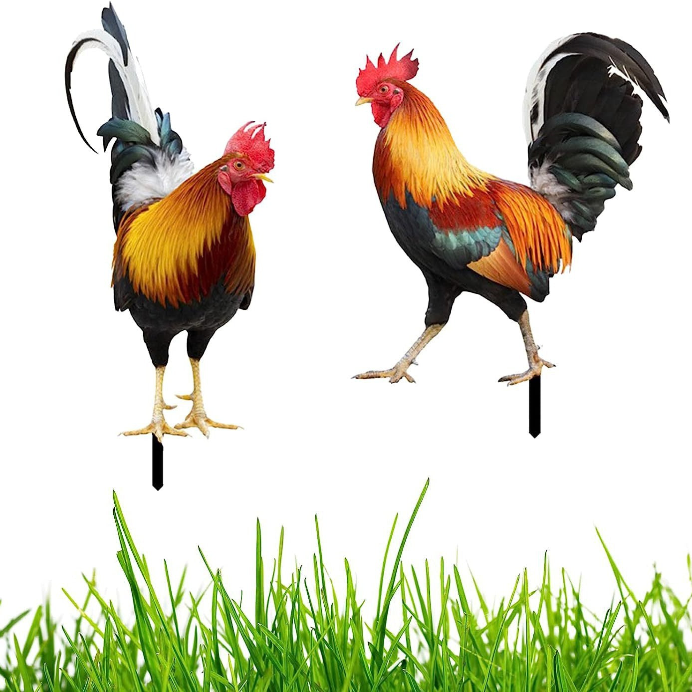 3D Rooster Acrylic Mirror Garden Decoration